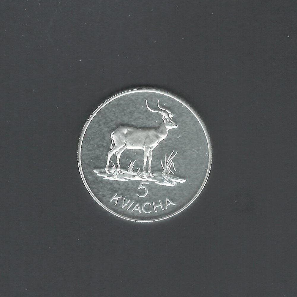 1979 Conservation of Wildlife 5 Kwacha Zambia African Longhorn Silver BU Proof Coin