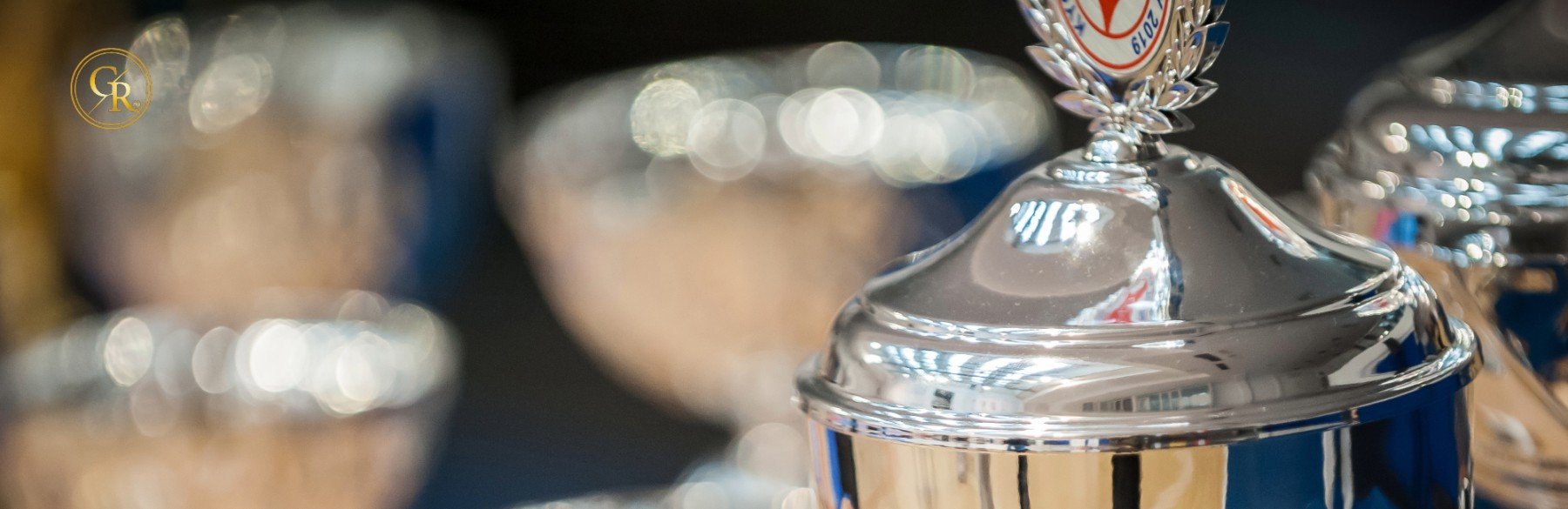 Specialty Silver (Sports)